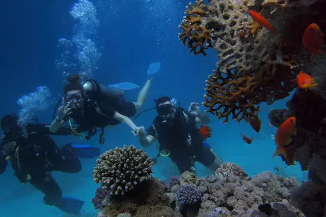 Diving in Saint Lucia