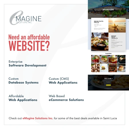 eMagine Solutions Inc.